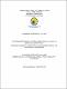 Tesis Informe con correcciones de Comision Evaluadora. Grupo 34. .pdf.jpg